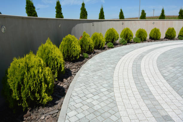 Reliable Allardt, TN Driveway Pavers Solutions